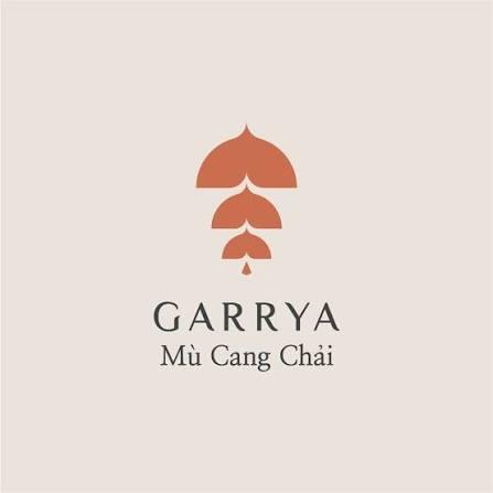 Garrya Mù Cang Chải